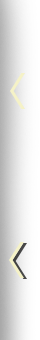 Précédent